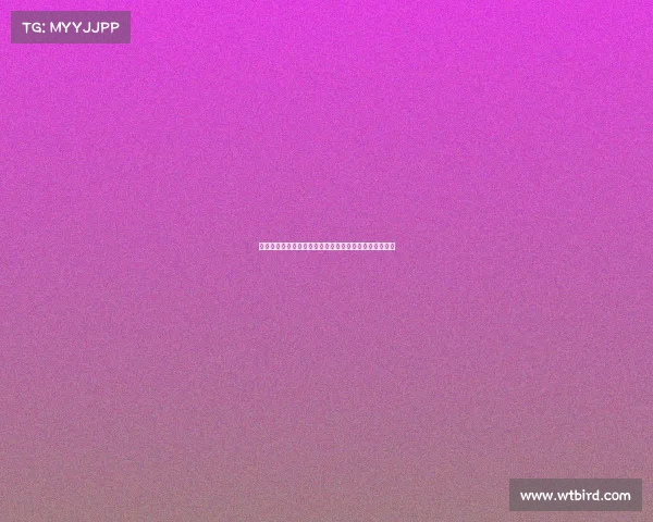 阿尔梅里亚跟队记者曝普维尔未接受任何俱乐部体检细节