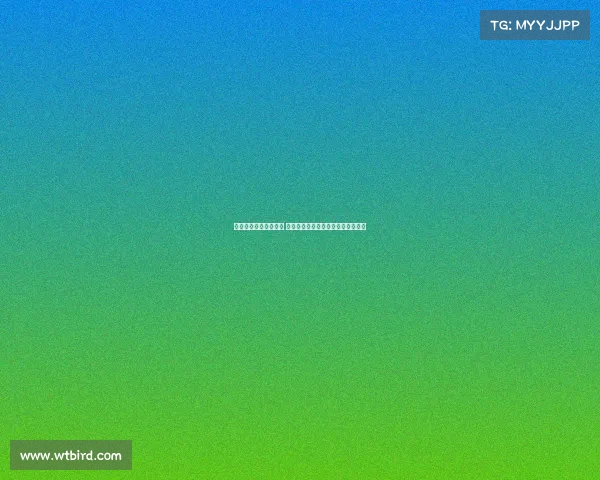 曼联若引进谢什科失败 可尝试签下布伦特福德前锋伊万托尼