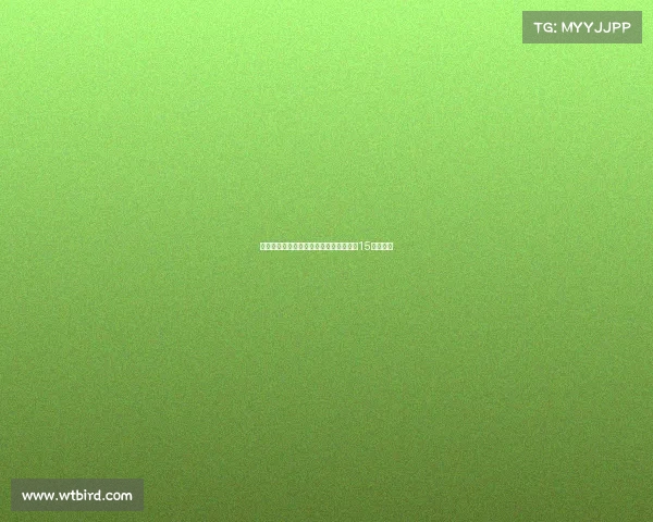 罗马与阿斯顿维拉友谊赛因交通拥堵推迟15分钟开球