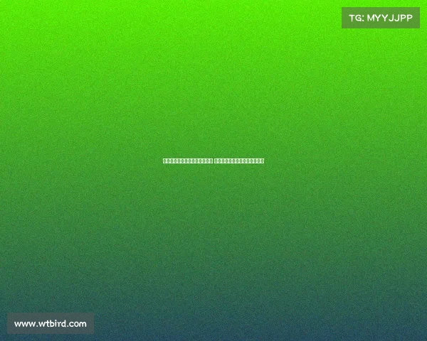 贝尔巴托夫谨慎评价谢什科前景 霍伊伦需保持正确心态才能成功