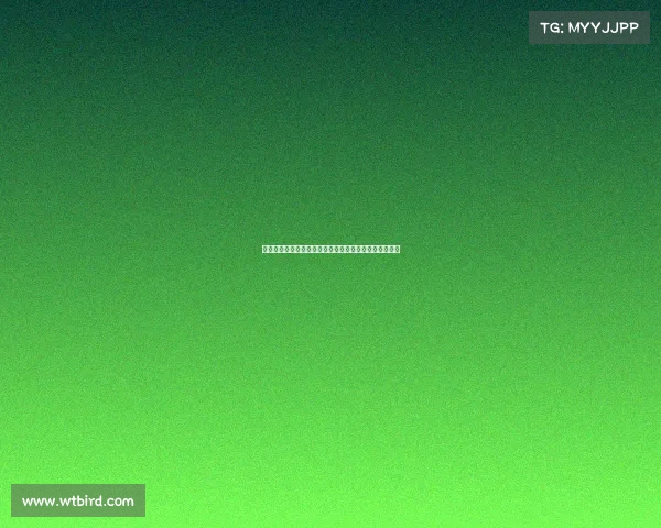 西媒曝罗梅乌或重返赫罗纳需先解约巴萨并接受降薪条件