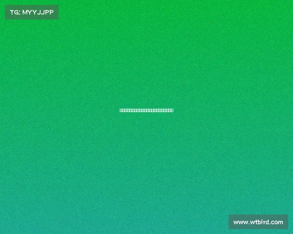 边锋在现代足球战术中的关键作用与技术特点探析